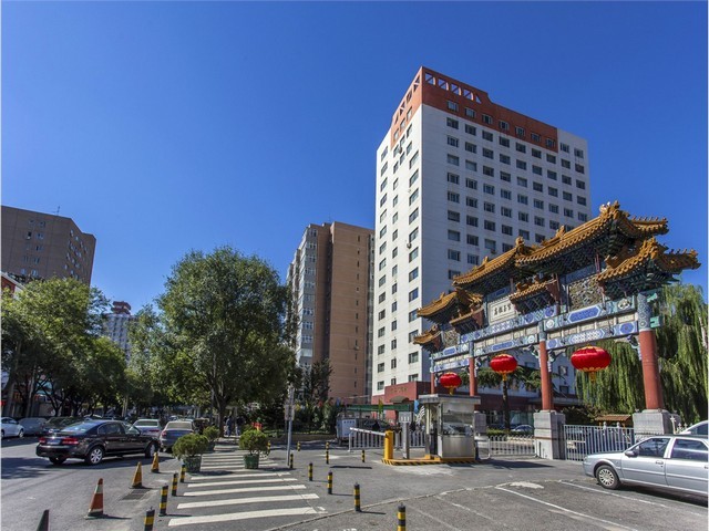 专业植物租赁电话